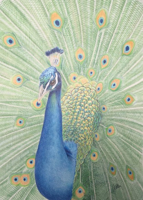 Peacock final piece