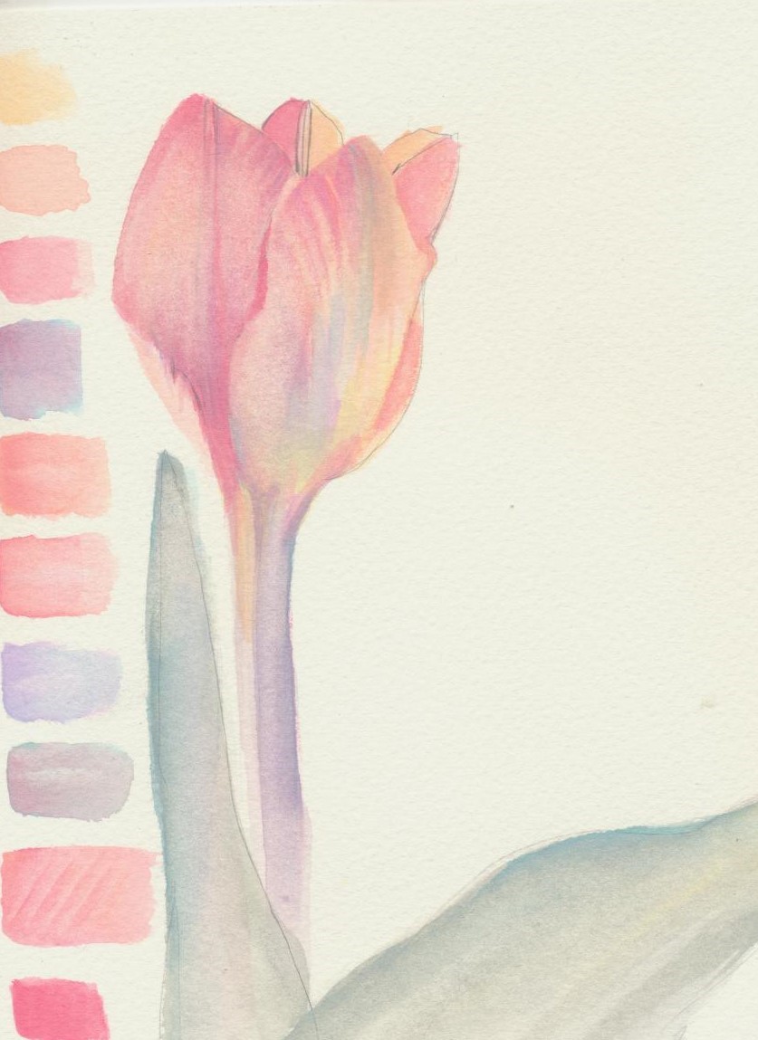Testing Colour Palette on Tulip Stem and Leaves