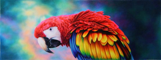 Completed drawing of a parrot using Derwent Chromaflow Coloured Pencils