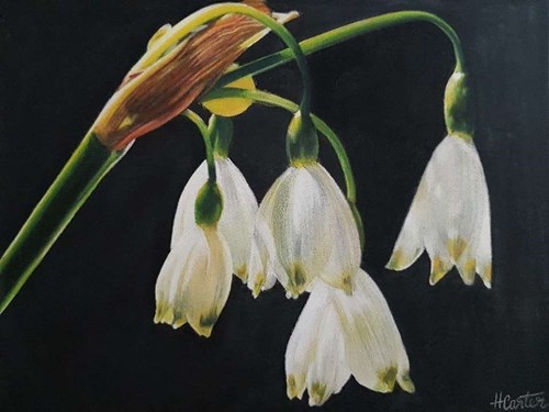 Derwent Snowdrops Final Piece