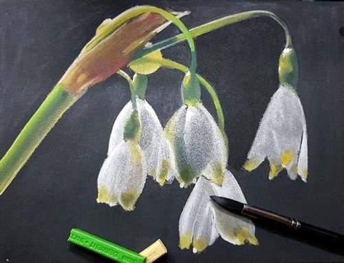 Derwent Backlit Snowdrops with Inktense Blocks