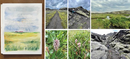 Views of Laki Crater in photography and painting