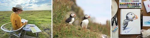 Puffins and Abby's puffin painting