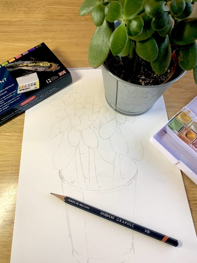 Start by sketching out your plant
