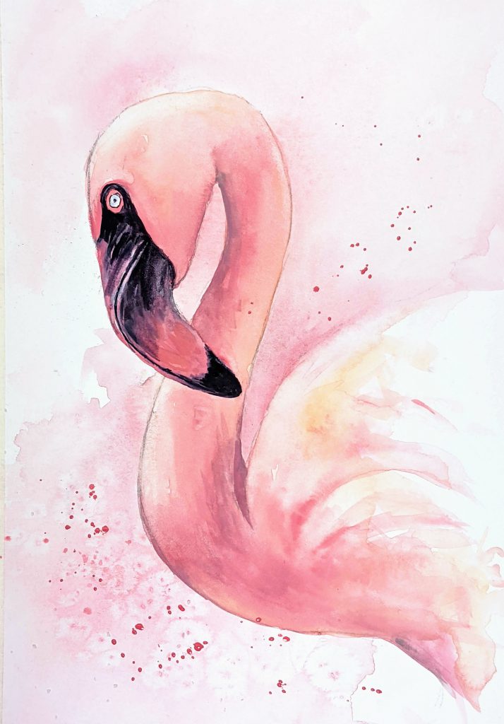 How to Draw a Flamingo with Pastels