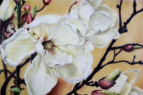 Derwent Spring Magnolia Floral Piece