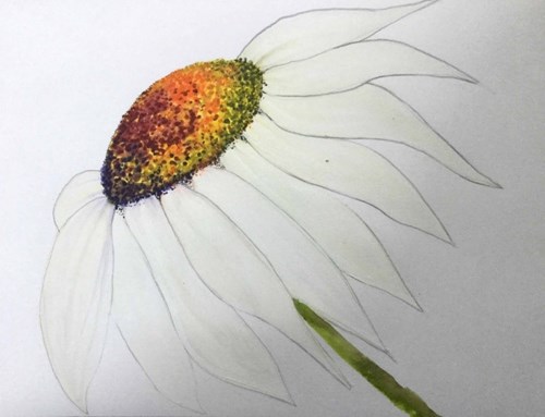 Painting a daisy