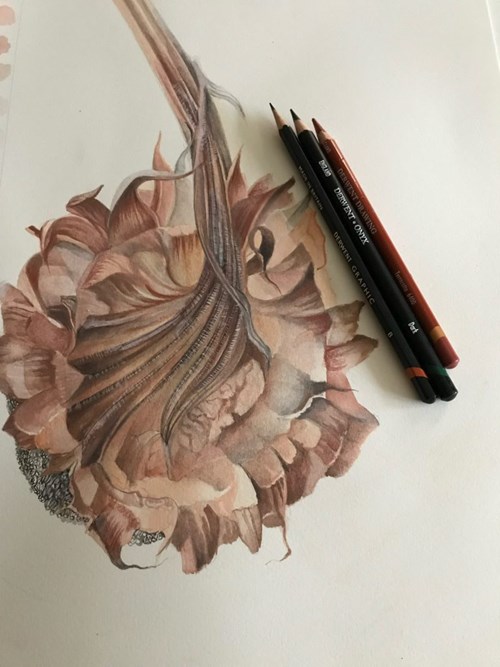 Final sunflower artwork with Derwent pencils laying on it