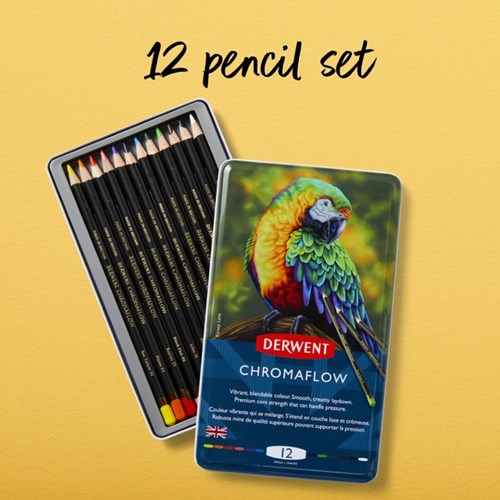12 Pack Pencils