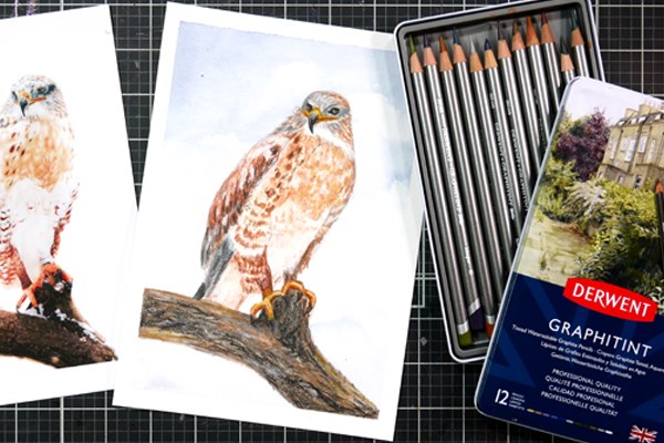 Predatory bird painting next to open tin of Graphitint pencils