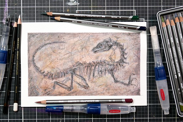 Fossil drawing surrounded by Derwent Graphitint pencils